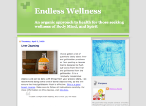 1 Wellness Mama blogspot