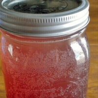 How to make healthy probiotic water kefir natural soda