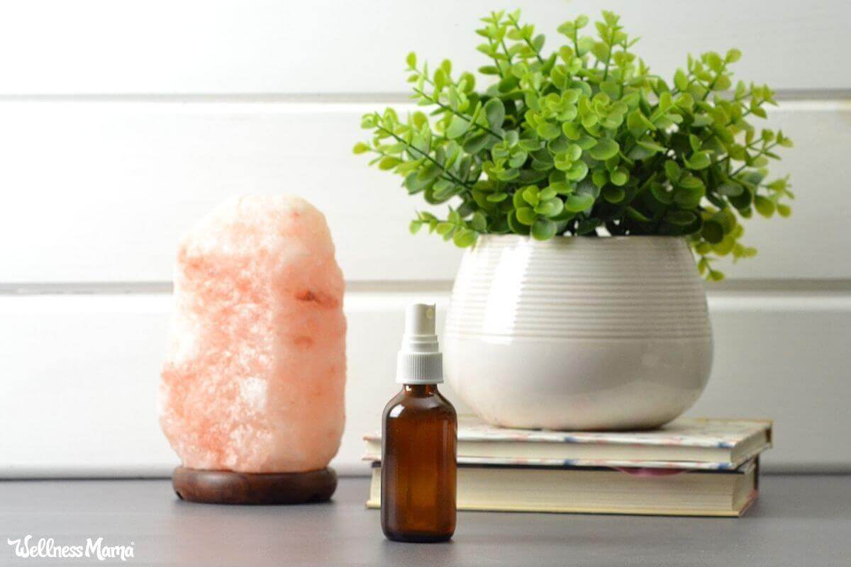 Natural Ways to Clean Indoor Air
