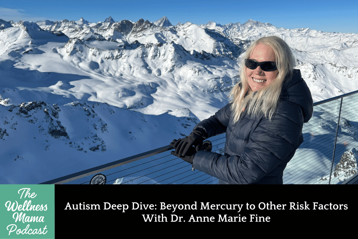 934: Autism Deep Dive: Beyond Mercury to Other Risk Factors With Dr. Anne Marie Fine