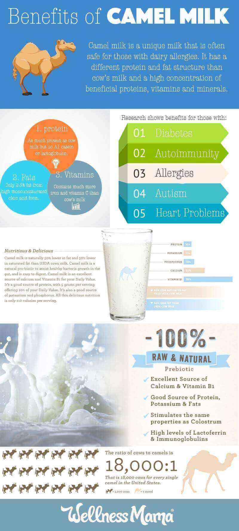 Benefits of Camel Milk
