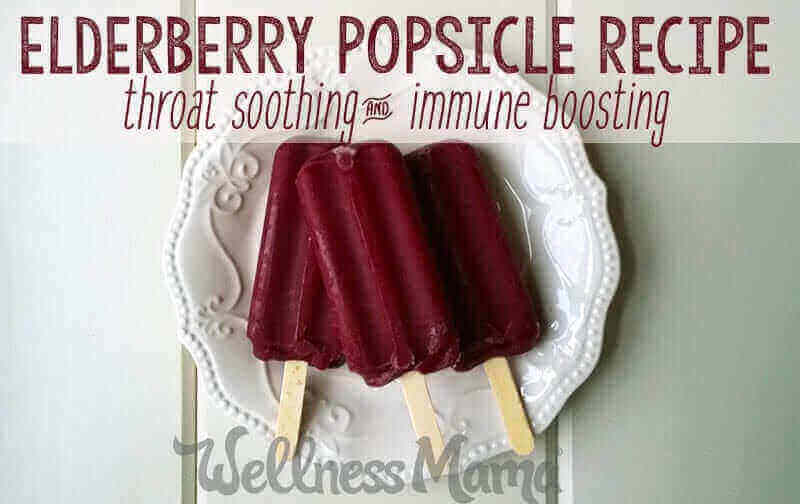 Elderberry Popsicle Recipe - throat soothing and immune boosting