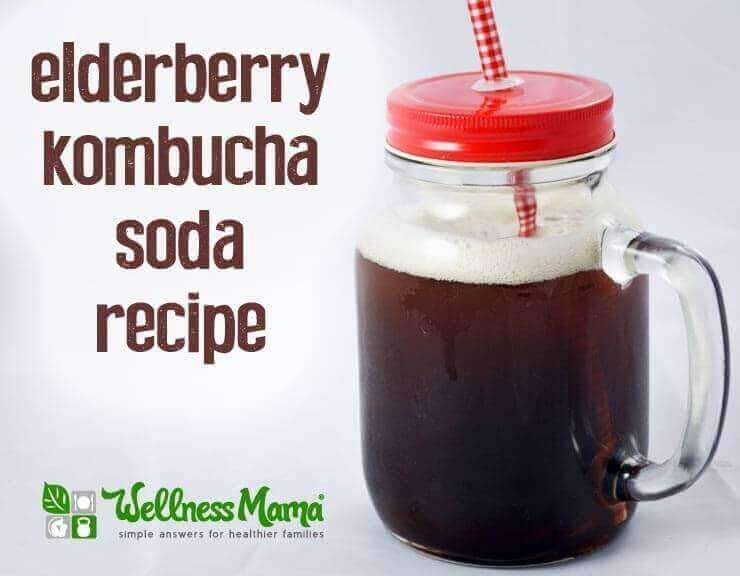 Elderberry kombucha Soda recipe