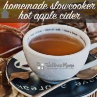 Homemade slowcooker hot apple cider recipe