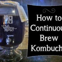How to Make Kombucha Using the Continuous Brew System and Why you would want to