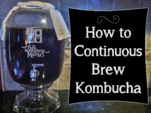 How to Make Kombucha Using the Continuous Brew System and Why you would want to