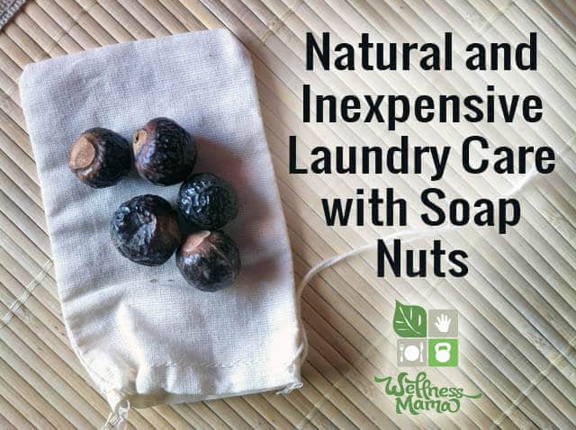 Soap Nuts are a natural and very inexpensive way to clean your laundry without chemicals