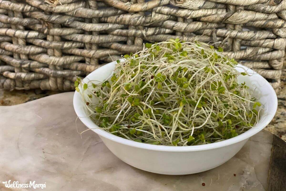 The Benefits of Sprouts and Microgreens