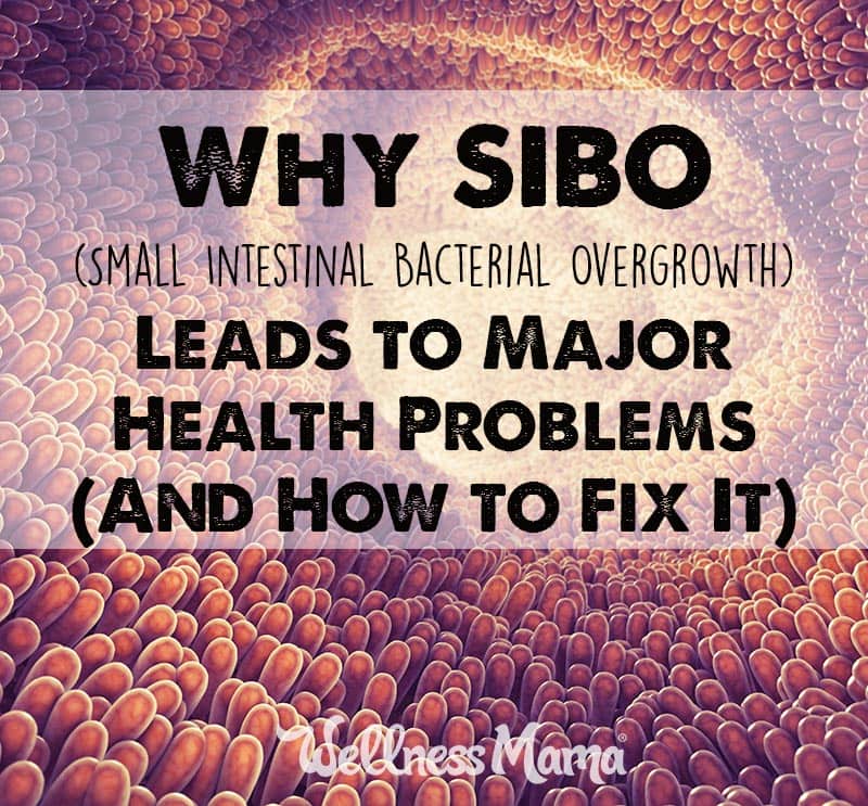 why-sibo-leads-to-major-health-problems-and-how-to-fix-it