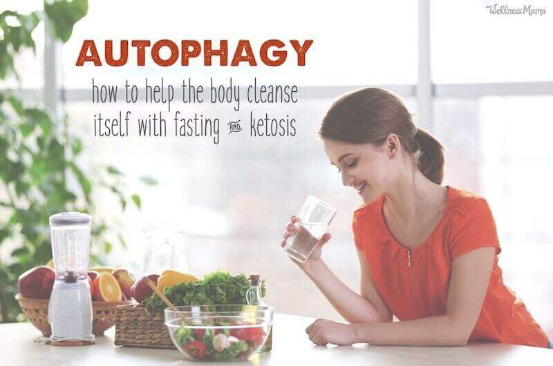 how to get into autophagy