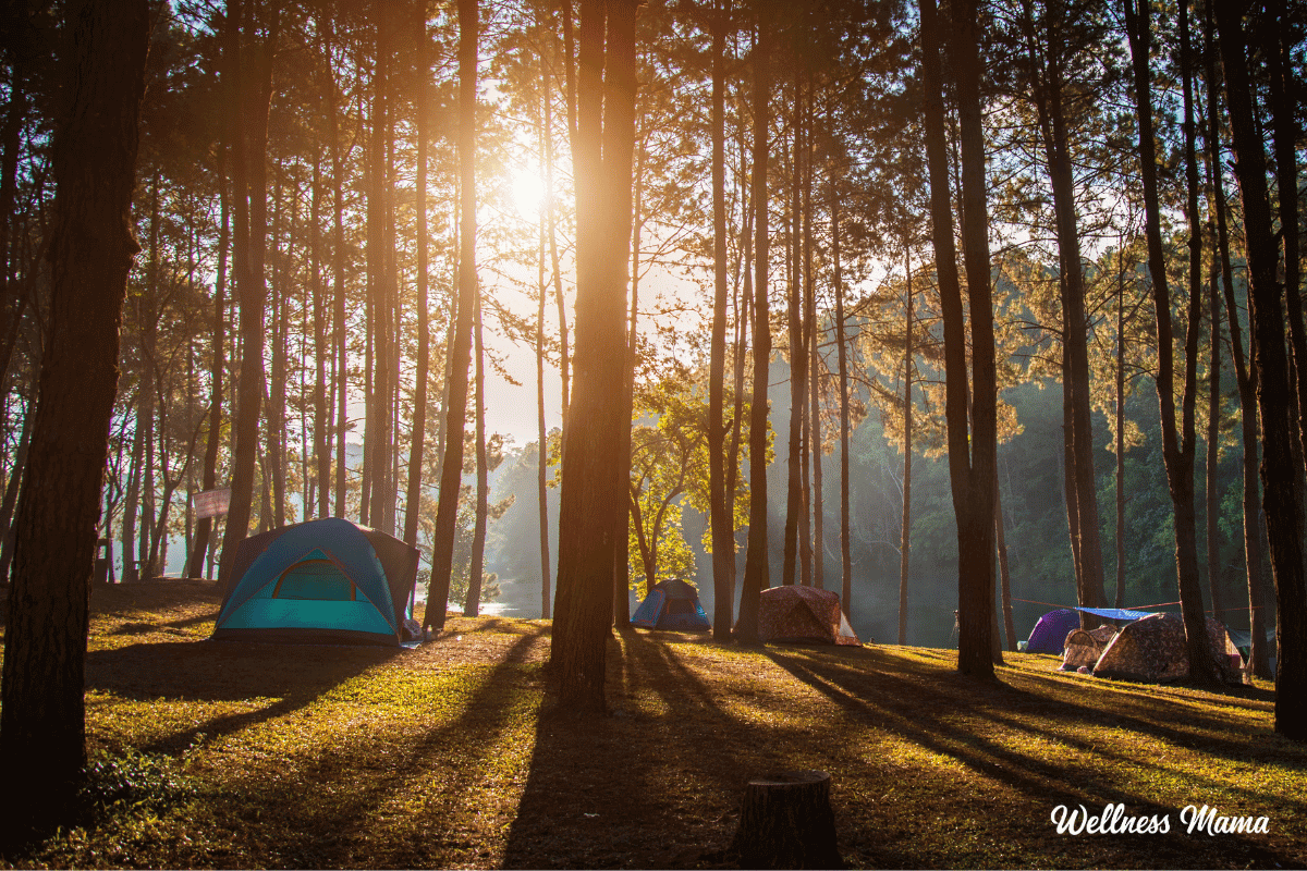 benefits of camping