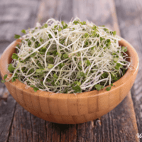 broccoli sprouts