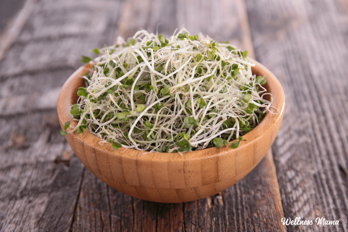 broccoli sprouts