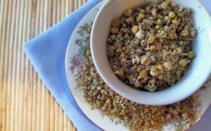 chamomile flowers