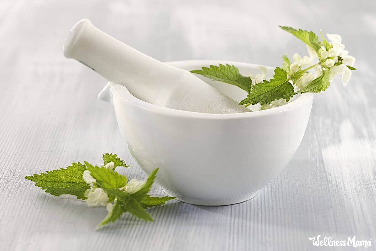 herb profile nettle leaf