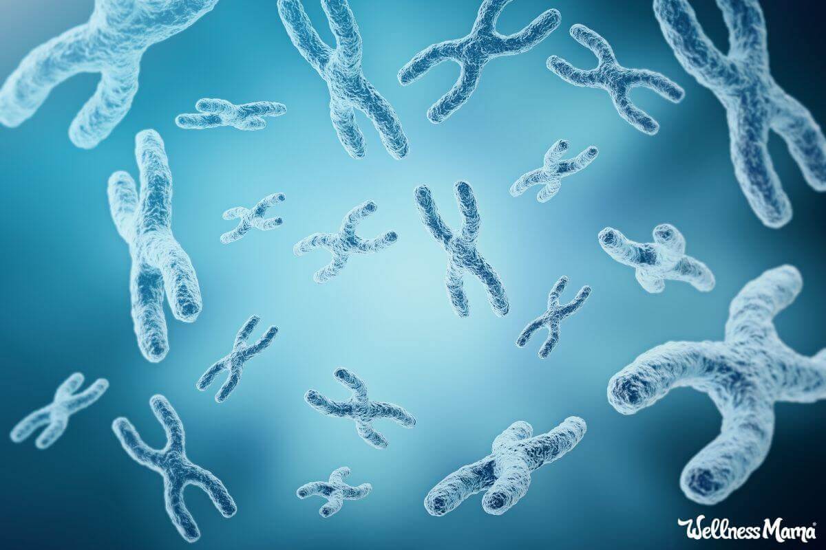 telomere length and aging