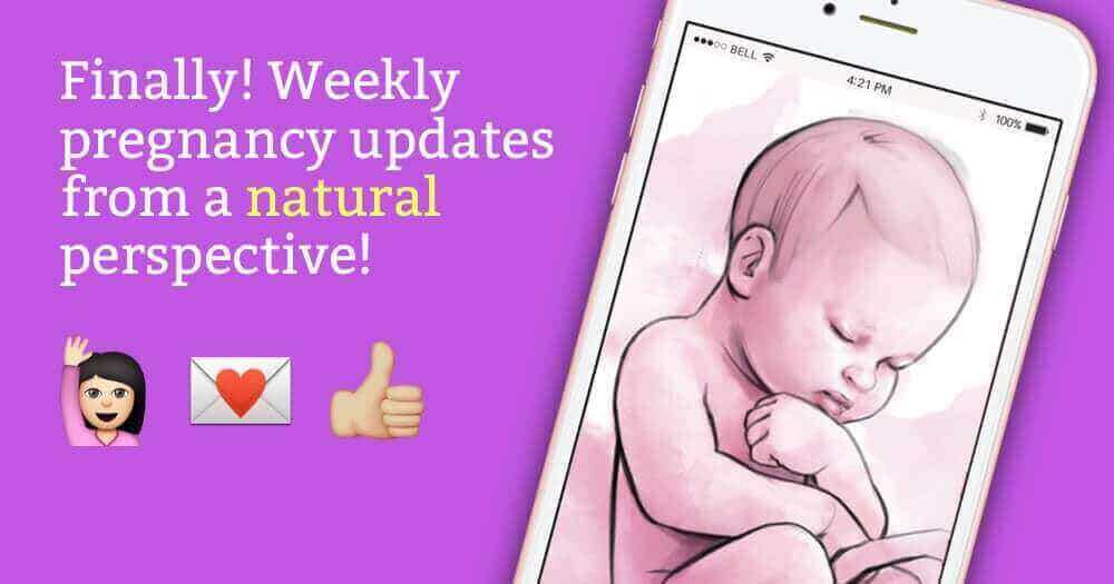 weekly pregnancy updates from a natural perspective - purple